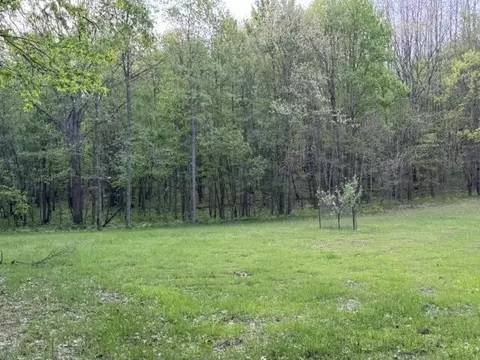 40 Acres 48th, Chase, MI 49623 photo 7