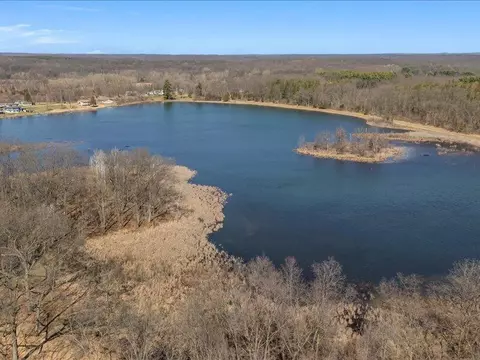 10481 Hadley #LOT 2, Gregory, MI 48137 photo 13