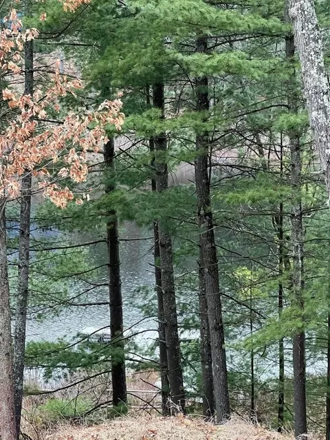 00 Perch Lk, Bitely, MI 49309 photo 5