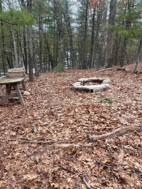00 Perch Lk, Bitely, MI 49309 photo 7