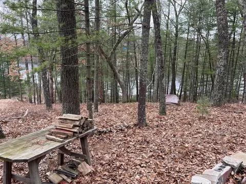 00 Perch Lk, Bitely, MI 49309 photo 9
