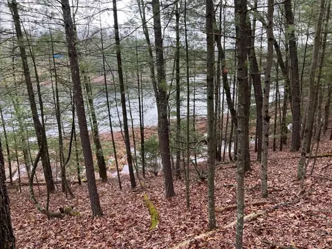00 Perch Lk, Bitely, MI 49309 photo 10