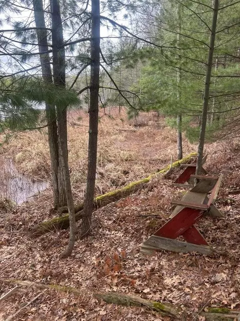 00 Perch Lk, Bitely, MI 49309 photo 8
