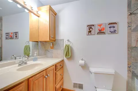 Bath - 5933 Salabelle, Jackson, MI 49201 photo 3 of 7