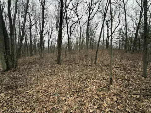 0 Wheat, Lowell, MI 49331 photo 2
