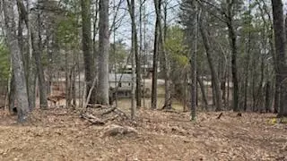 0 Mohawk, Pentwater, MI 49449 photo 4