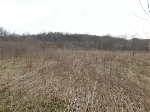 Cox, Bellevue, MI 49021 photo 2