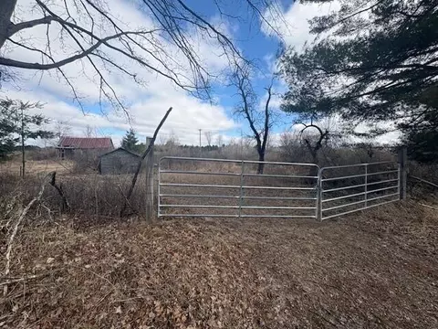 4 Mile, Evart, MI 49631