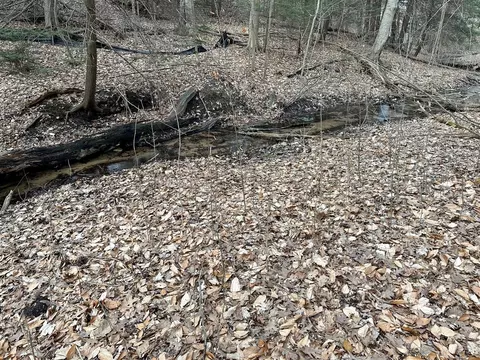 V/l S Beaune, Ludington, MI 49431