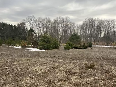 Quarter Line Rd, Manistee, MI 49660