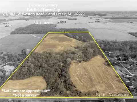 W Weston, Sand Creek, MI 49279