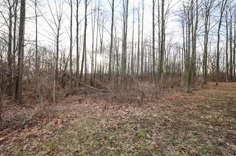 Vl W Glendora, Buchanan, MI 49107 photo 31