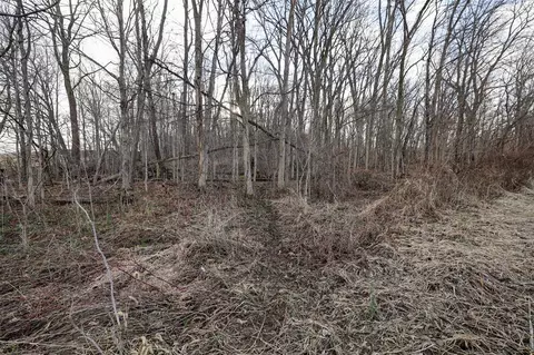 Vl W Glendora, Buchanan, MI 49107 photo 38