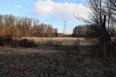 Vl W Glendora, Buchanan, MI 49107 photo 37
