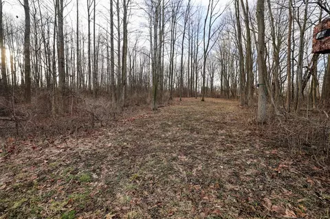 Vl W Glendora, Buchanan, MI 49107 photo 10
