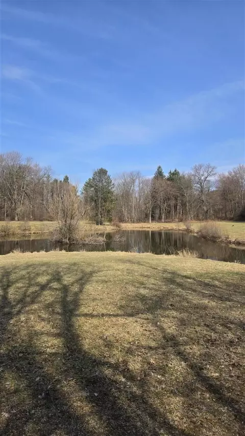 7091 Ann Arbor, Jackson, MI 49201 photo 57