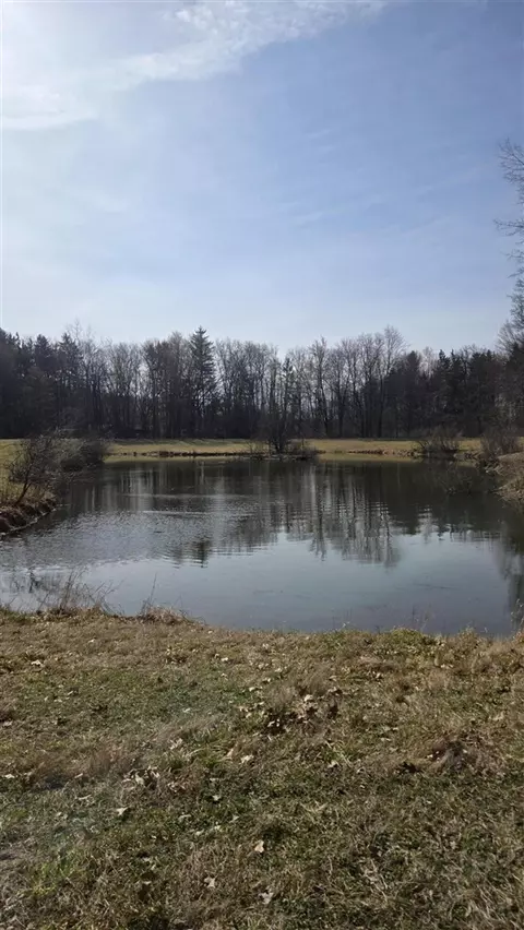 7091 Ann Arbor, Jackson, MI 49201 photo 55
