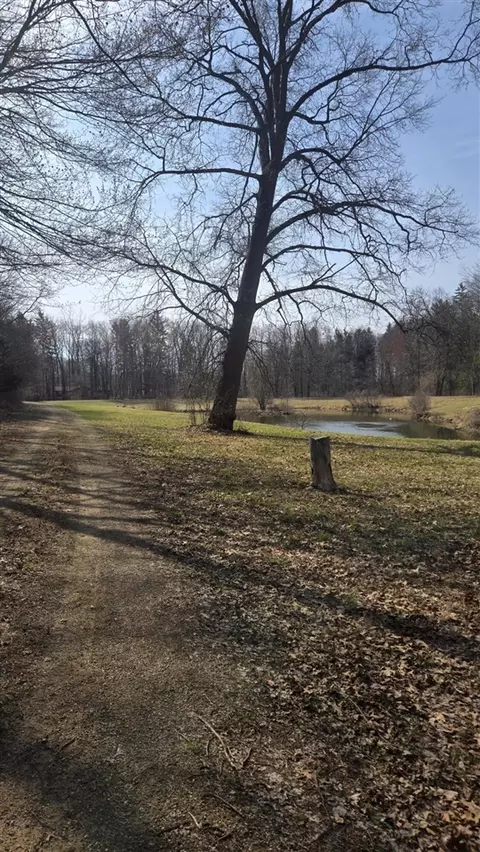 7091 Ann Arbor, Jackson, MI 49201 photo 59