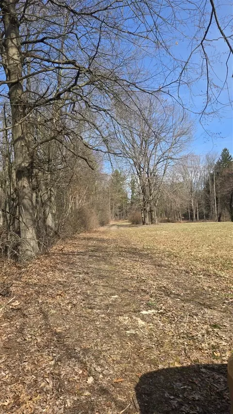 7091 Ann Arbor, Jackson, MI 49201 photo 56