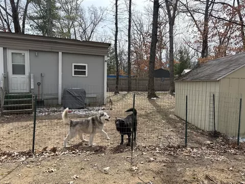 Exterior - 5169 S Tomahawk, Baldwin, MI 49304 photo 12 of 21
