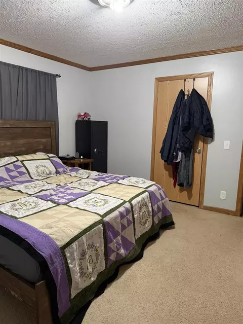 Bedroom - 460 Ellsworth, Bellevue, MI 49021 photo 2 of 4