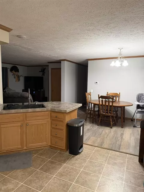 Other - 460 Ellsworth, Bellevue, MI 49021 photo 6 of 10