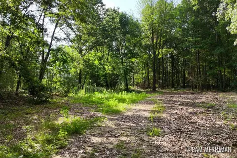 Parcel E W Willard, Trufant, MI 49347 photo 3