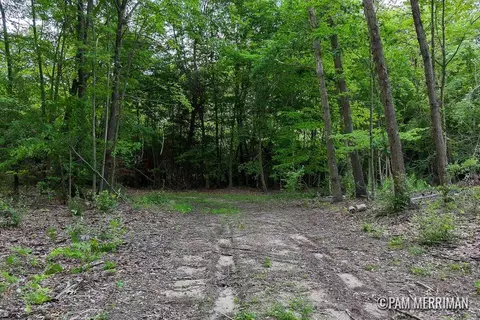 Parcel B Youngman, Trufant, MI 49347 photo 4