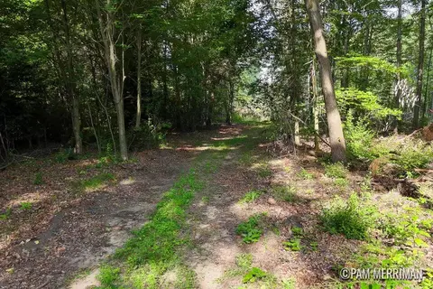 Parcel B Youngman, Trufant, MI 49347