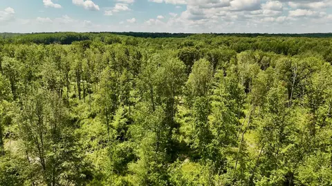 e long lake, Harrison, MI 48625 photo 26