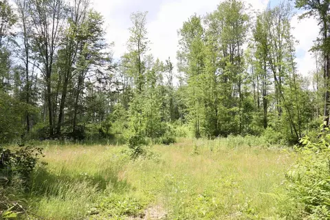 e long lake, Harrison, MI 48625 photo 17