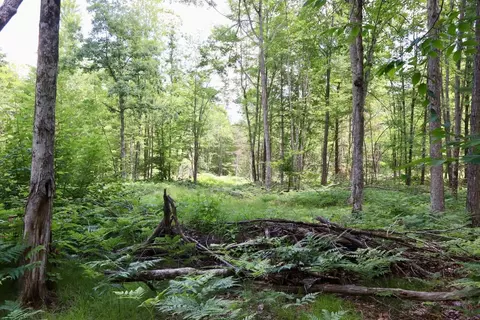 e long lake, Harrison, MI 48625 photo 4
