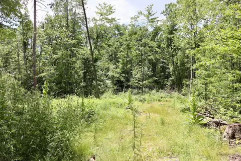 e long lake, Harrison, MI 48625 photo 22