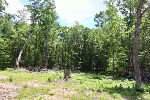 e long lake, Harrison, MI 48625 photo 10