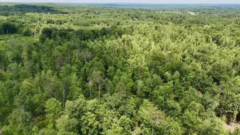 e long lake, Harrison, MI 48625 photo 25