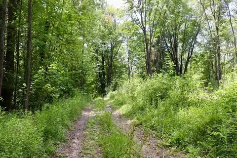 e long lake, Harrison, MI 48625 photo 19
