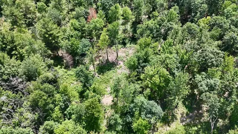 e long lake, Harrison, MI 48625 photo 3