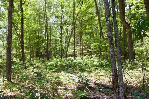 e long lake, Harrison, MI 48625 photo 14