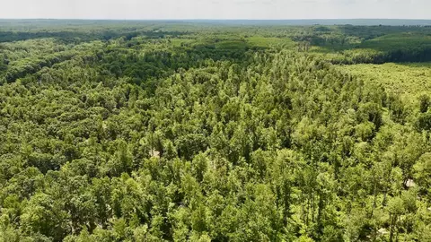 e long lake, Harrison, MI 48625 photo 24