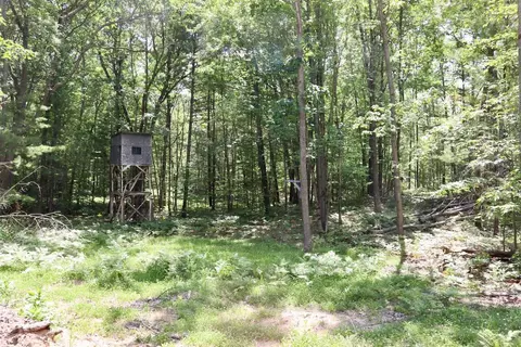 e long lake, Harrison, MI 48625 photo 20