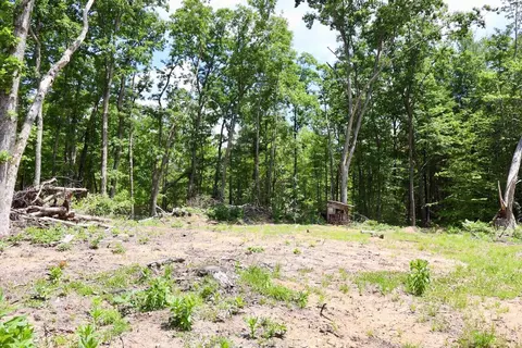 e long lake, Harrison, MI 48625 photo 16