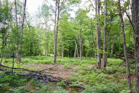 e long lake, Harrison, MI 48625 photo 8
