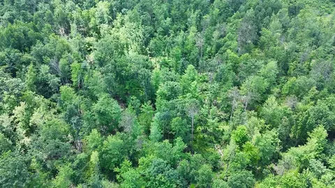 e long lake, Harrison, MI 48625 photo 27