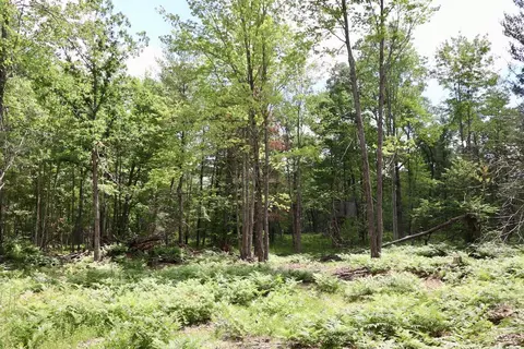 e long lake, Harrison, MI 48625 photo 13