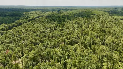 e long lake, Harrison, MI 48625 photo 2