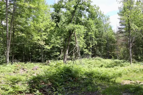 e long lake, Harrison, MI 48625 photo 15