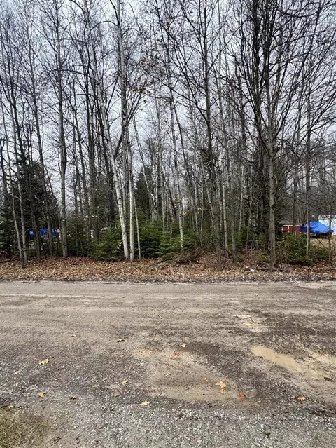 Ashcroft, Lake, MI 48632 photo 6