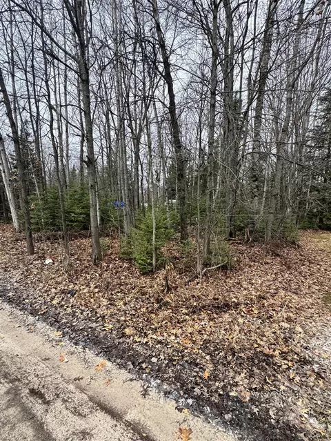 Ashcroft, Lake, MI 48632 photo 3