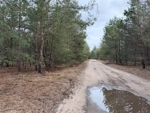Pihl, Kaleva, MI 49645 photo 5