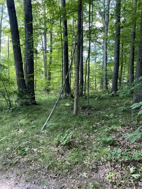 Elm, Lakeview, MI 48850 photo 3
